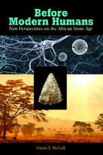 Before Modern Humans: New Perspectives on the African Stone Age