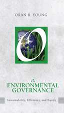On Environmental Governance: Sustainability, Efficiency, and Equity