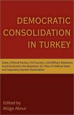 Democratic Consolidation in Turkey