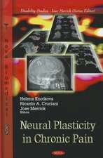 Neural Plasticity in Chronic Pain