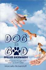 Dog Is God Spelled Backwards