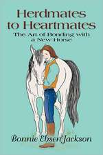 Herdmates to Heartmates: The Art of Bonding with a New Horse