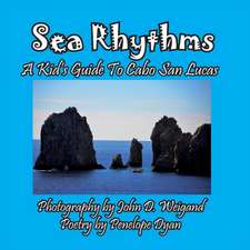 Sea Rhythms --- A Kid's Guide To Cabo San Lucas