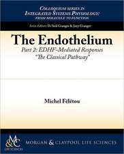 The Endothelium, Part II