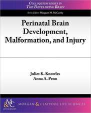 Perinatal Brain Development, Malformation, and Injury