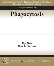 Phagocytosis