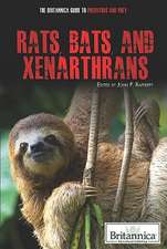 Rats, Bats, and Xenarthrans