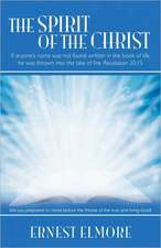 The Spirit of the Christ: Exposing Its True DNA & Breaking the Stigma