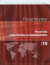 Fiscal Monitor: From Strategy to Implementation