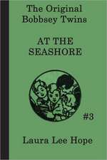 The Bobbsey Twins at the Seashore: Of Plymouth Plantation