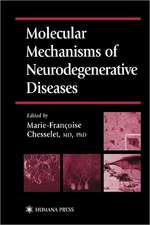 Molecular Mechanisms of Neurodegenerative Diseases