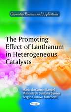 The Promoting Effect of Lanthanum in Heterogeneous Catalysts