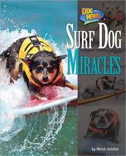 Surf Dog Miracles