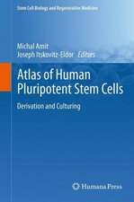 Atlas of Human Pluripotent Stem Cells