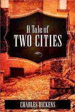 A Tale of Two Cities: Chicago 1860