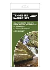 Tennessee Nature Set: Field Guides to Wildlife, Birds, Trees & Wildflowers of Tennessee