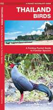 Thailand Birds: A Folding Pocket Guide to Familiar Species