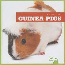 Guinea Pigs