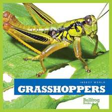 Grasshoppers