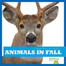 Animals in Fall