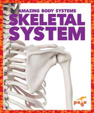 Skeletal System