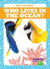 Who Lives in the Ocean?