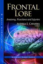 Frontal Lobe