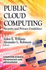 Public Cloud Computing