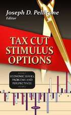 Tax Cut Stimulus Options