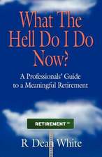 What the Hell Do I Do Now? a Professionals' Guide to a Meaningful Retirement