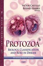 Protozoa