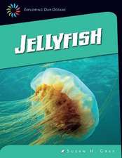 Jellyfish