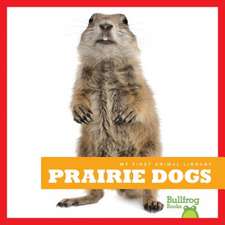 Prairie Dogs