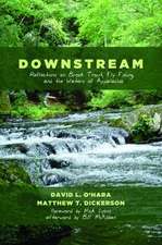 Downstream: Reflections on Brook Trout, Fly Fishing, and the Waters of Appalachia