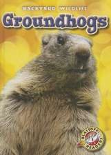 Schuetz, K: Groundhogs