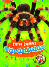 Tarantulas