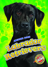 Labrador Retrievers