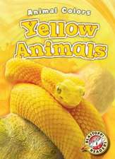 Yellow Animals