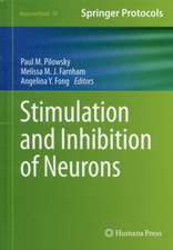 Stimulation and Inhibition of Neurons