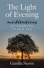 The Light of Evening: Meditations on Growing in Old Age