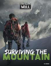 Weber, M: Surviving the Mountain
