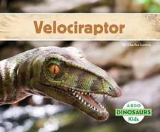 Velociraptor