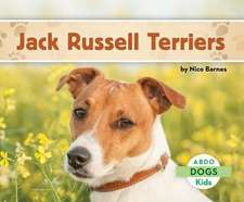 Jack Russell Terriers