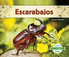 Escarabajos (Beetles)