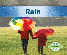 Rain: Jobs