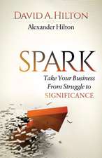 Spark: Take Your Business from Struggle to Significance