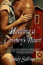 Healing a Cowboy's Heart: The Hippy Homemaker's DIY Guide to Natural Health & Beauty