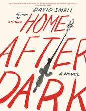 Home After Dark – A Novel