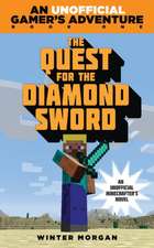 The Quest for the Diamond Sword