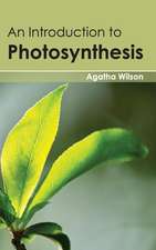 Introduction to Photosynthesis: Approaches and Environmental Risks